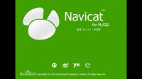 Navicat安装