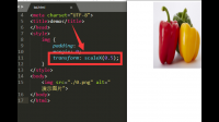 css使用transform的scale()进行缩
