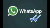 whatsapp的消息后面为什么有绿色的实心圆